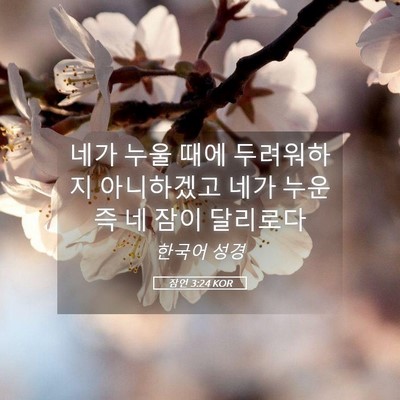 Picture 05 - 잠언 3:24 KOR - 네가 누울 때에 두려워하지 - Bible Verse Picture