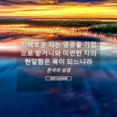 Picture 05 - 잠언 3:35 KOR - 지혜로운 자는 영광을 기업으로 - Bible Verse Picture