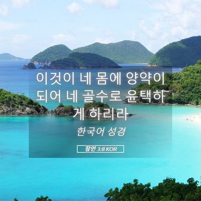 Picture 05 - 잠언 3:8 KOR - 이것이 네 몸에 양약이 되어 네 - Bible Verse Picture