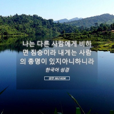Picture 05 - 잠언 30:2 KOR - 나는 다른 사람에게 비하면 짐승이라 - Bible Verse Picture