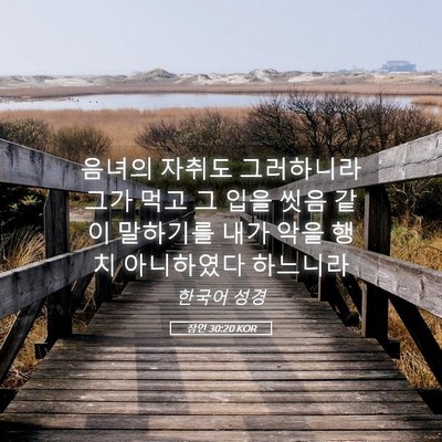 Picture 05 - 잠언 30:20 KOR - 음녀의 자취도 그러하니라 그가 먹고 - Bible Verse Picture