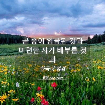 Picture 05 - 잠언 30:22 KOR - 곧 종이 임금된 것과 미련한 자가 - Bible Verse Picture