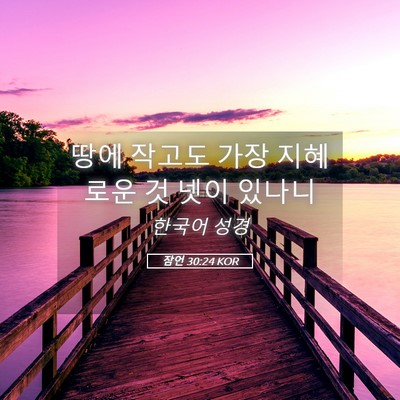 Picture 05 - 잠언 30:24 KOR - 땅에 작고도 가장 지혜로운 것 넷이 - Bible Verse Picture