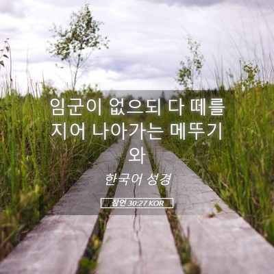 Picture 05 - 잠언 30:27 KOR - 임군이 없으되 다 떼를 지어 - Bible Verse Picture