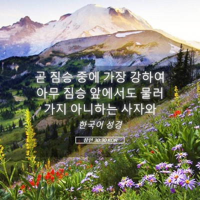 Picture 05 - 잠언 30:30 KOR - 곧 짐승 중에 가장 강하여 아무 짐승 - Bible Verse Picture
