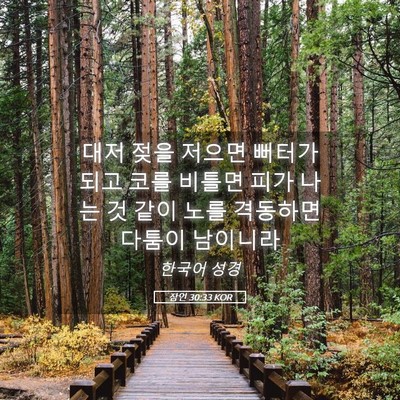 Picture 05 - 잠언 30:33 KOR - 대저 젖을 저으면 뻐터가 되고 코를 - Bible Verse Picture