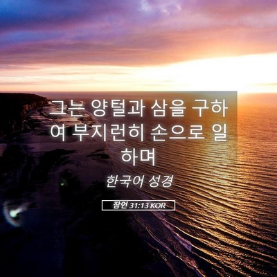 Picture 05 - 잠언 31:13 KOR - 그는 양털과 삼을 구하여 부지런히 - Bible Verse Picture