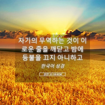 Picture 05 - 잠언 31:18 KOR - 자기의 무역하는 것이 이로운 줄을 - Bible Verse Picture