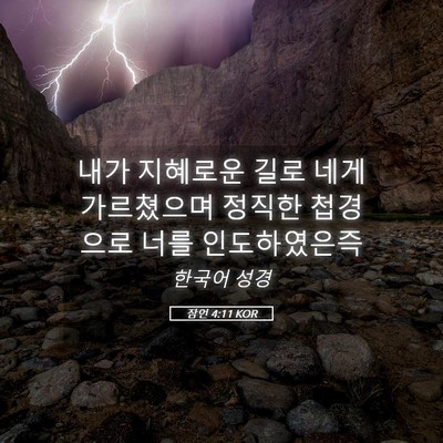 Picture 05 - 잠언 4:11 KOR - 내가 지혜로운 길로 네게 가르쳤으며 - Bible Verse Picture