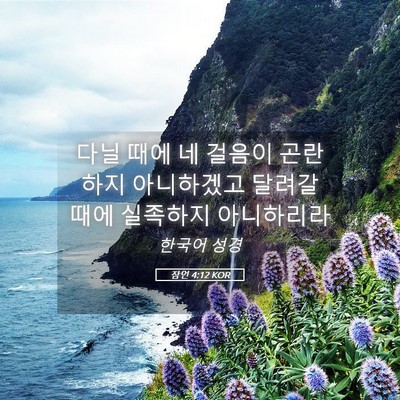 Picture 05 - 잠언 4:12 KOR - 다닐 때에 네 걸음이 곤란하지 - Bible Verse Picture