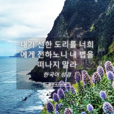 Picture 05 - 잠언 4:2 KOR - 내가 선한 도리를 너희에게 전하노니 - Bible Verse Picture