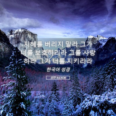 Picture 05 - 잠언 4:6 KOR - 지혜를 버리지 말라 그가 너를 - Bible Verse Picture