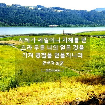 Picture 05 - 잠언 4:7 KOR - 지혜가 제일이니 지혜를 얻으라 무릇 - Bible Verse Picture