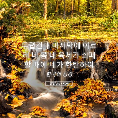 Picture 05 - 잠언 5:11 KOR - 두렵건대 마지막에 이르러 네 몸 네 - Bible Verse Picture
