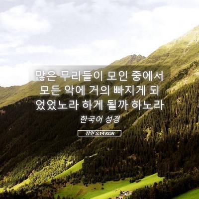Picture 05 - 잠언 5:14 KOR - 많은 무리들이 모인 중에서 모든 - Bible Verse Picture