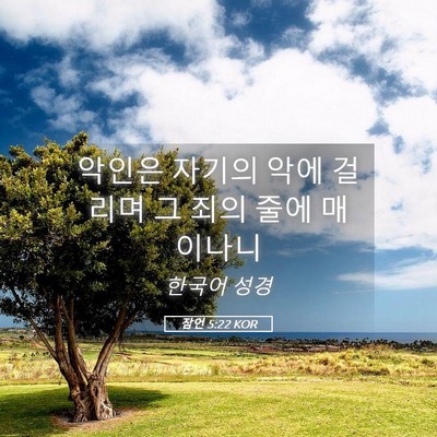 Picture 05 - 잠언 5:22 KOR - 악인은 자기의 악에 걸리며 그 죄의 - Bible Verse Picture
