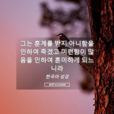 Picture 05 - 잠언 5:23 KOR - 그는 훈계를 받지 아니함을 인하여 - Bible Verse Picture