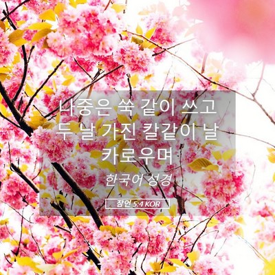 Picture 05 - 잠언 5:4 KOR - 나중은 쑥 같이 쓰고 두 날 가진 - Bible Verse Picture