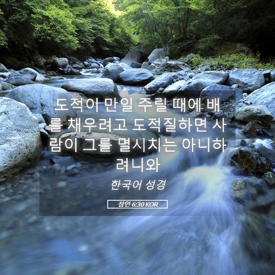 Picture 05 - 잠언 6:30 KOR - 도적이 만일 주릴 때에 배를 - Bible Verse Picture