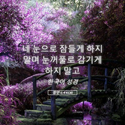 Picture 05 - 잠언 6:4 KOR - 네 눈으로 잠들게 하지 말며 - Bible Verse Picture