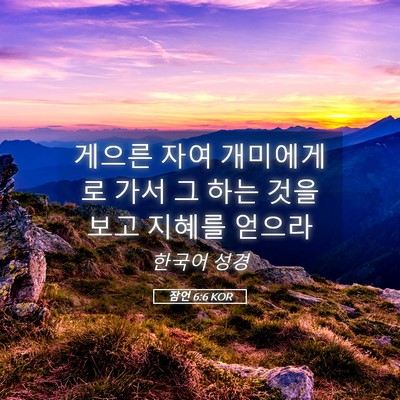 Picture 05 - 잠언 6:6 KOR - 게으른 자여 개미에게로 가서 그 - Bible Verse Picture