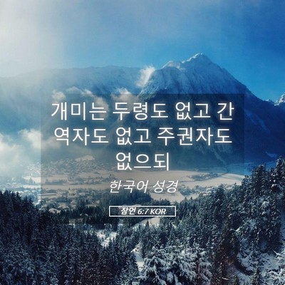 Picture 05 - 잠언 6:7 KOR - 개미는 두령도 없고 간역자도 없고 - Bible Verse Picture