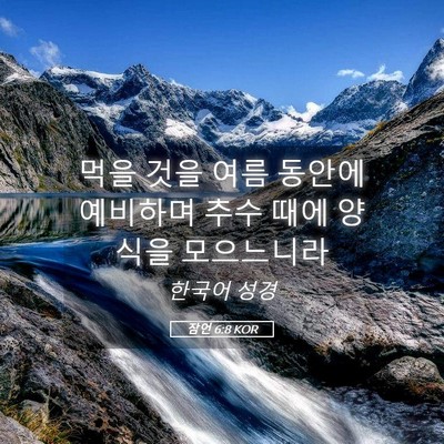 Picture 05 - 잠언 6:8 KOR - 먹을 것을 여름 동안에 예비하며 - Bible Verse Picture