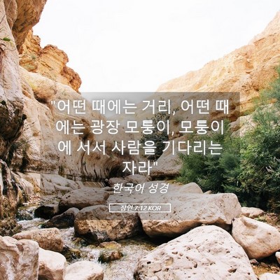 Picture 05 - 잠언 7:12 KOR - 