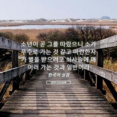 Picture 05 - 잠언 7:22 KOR - 소년이 곧 그를 따랐으니 소가 - Bible Verse Picture