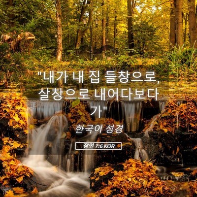 Picture 05 - 잠언 7:6 KOR - 