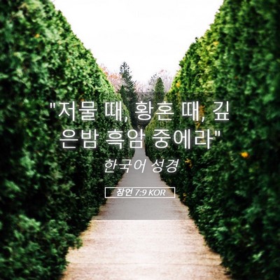 Picture 05 - 잠언 7:9 KOR - 