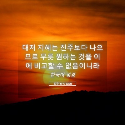 Picture 05 - 잠언 8:11 KOR - 대저 지혜는 진주보다 나으므로 무릇 - Bible Verse Picture