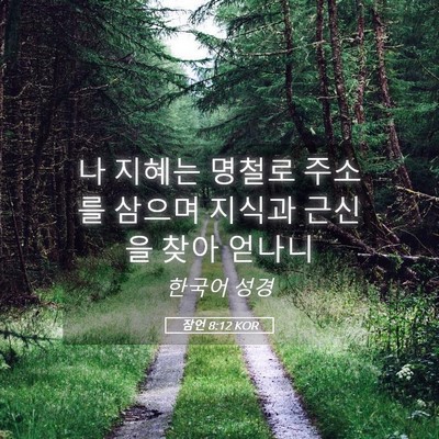 Picture 05 - 잠언 8:12 KOR - 나 지혜는 명철로 주소를 삼으며 - Bible Verse Picture