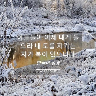Picture 05 - 잠언 8:32 KOR - 아들들아 이제 내게 들으라 내 도를 - Bible Verse Picture