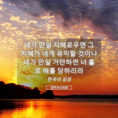 Picture 05 - 잠언 9:12 KOR - 네가 만일 지혜로우면 그 지혜가 - Bible Verse Picture