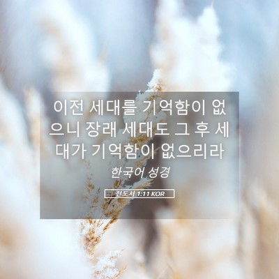 Picture 05 - 전도서 1:11 KOR - 이전 세대를 기억함이 없으니 장래 - Bible Verse Picture
