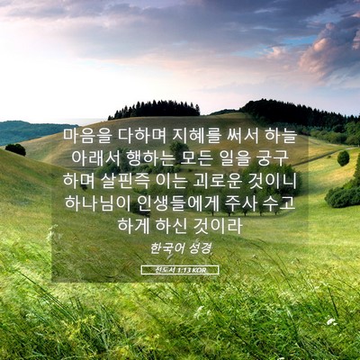 Picture 05 - 전도서 1:13 KOR - 마음을 다하며 지혜를 써서 하늘 - Bible Verse Picture