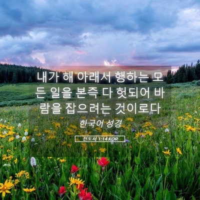 Picture 05 - 전도서 1:14 KOR - 내가 해 아래서 행하는 모든 일을 - Bible Verse Picture