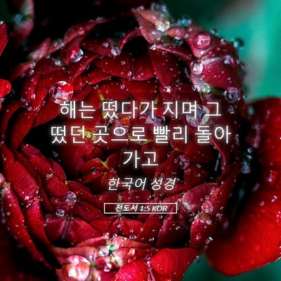 Picture 05 - 전도서 1:5 KOR - 해는 떴다가 지며 그 떴던 곳으로 - Bible Verse Picture