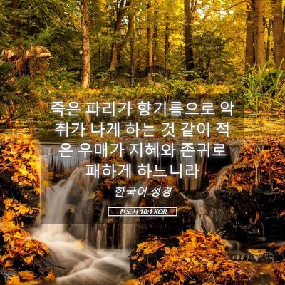 Picture 05 - 전도서 10:1 KOR - 죽은 파리가 향기름으로 악취가 나게 - Bible Verse Picture