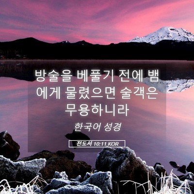 Picture 05 - 전도서 10:11 KOR - 방술을 베풀기 전에 뱀에게 물렸으면 - Bible Verse Picture