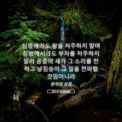 Picture 05 - 전도서 10:20 KOR - 심중에라도 왕을 저주하지 말며 - Bible Verse Picture