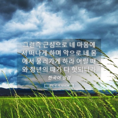 Picture 05 - 전도서 11:10 KOR - 그런즉 근심으로 네 마음에서 떠나게 - Bible Verse Picture