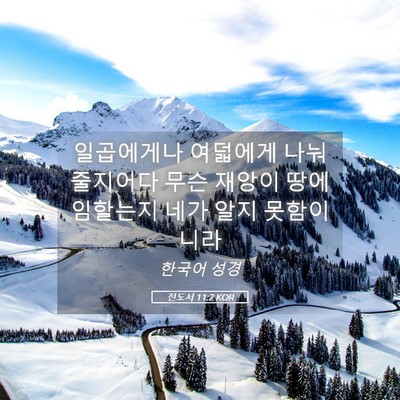 Picture 05 - 전도서 11:2 KOR - 일곱에게나 여덟에게 나눠줄지어다 - Bible Verse Picture