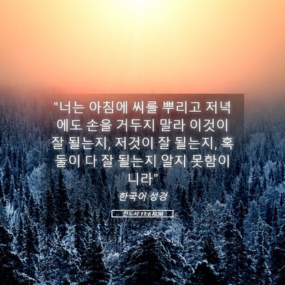 Picture 05 - 전도서 11:6 KOR - 