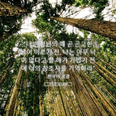 Picture 05 - 전도서 12:1 KOR - 