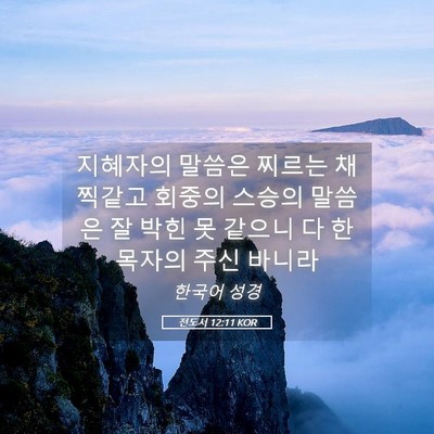 Picture 05 - 전도서 12:11 KOR - 지혜자의 말씀은 찌르는 채찍같고 - Bible Verse Picture