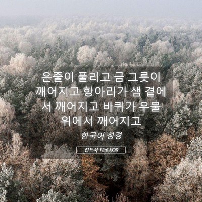 Picture 05 - 전도서 12:6 KOR - 은줄이 풀리고 금 그릇이 깨어지고 - Bible Verse Picture