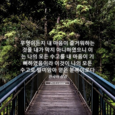 Picture 05 - 전도서 2:10 KOR - 무엇이든지 내 마음이 즐거워하는 - Bible Verse Picture