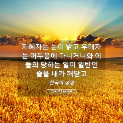 Picture 05 - 전도서 2:14 KOR - 지혜자는 눈이 밝고 우매자는 - Bible Verse Picture